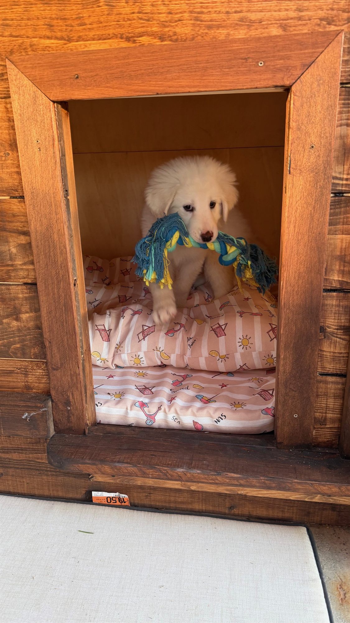 Lola La Cava